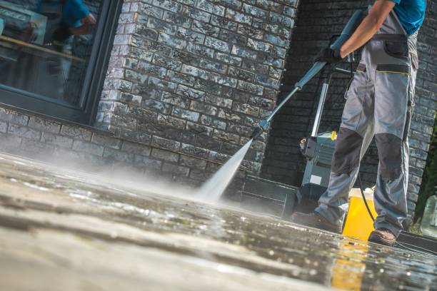 Best Paint Preparation  in Willits, CA